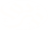 بريق